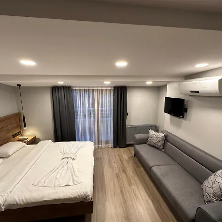호텔 Rose Suites *